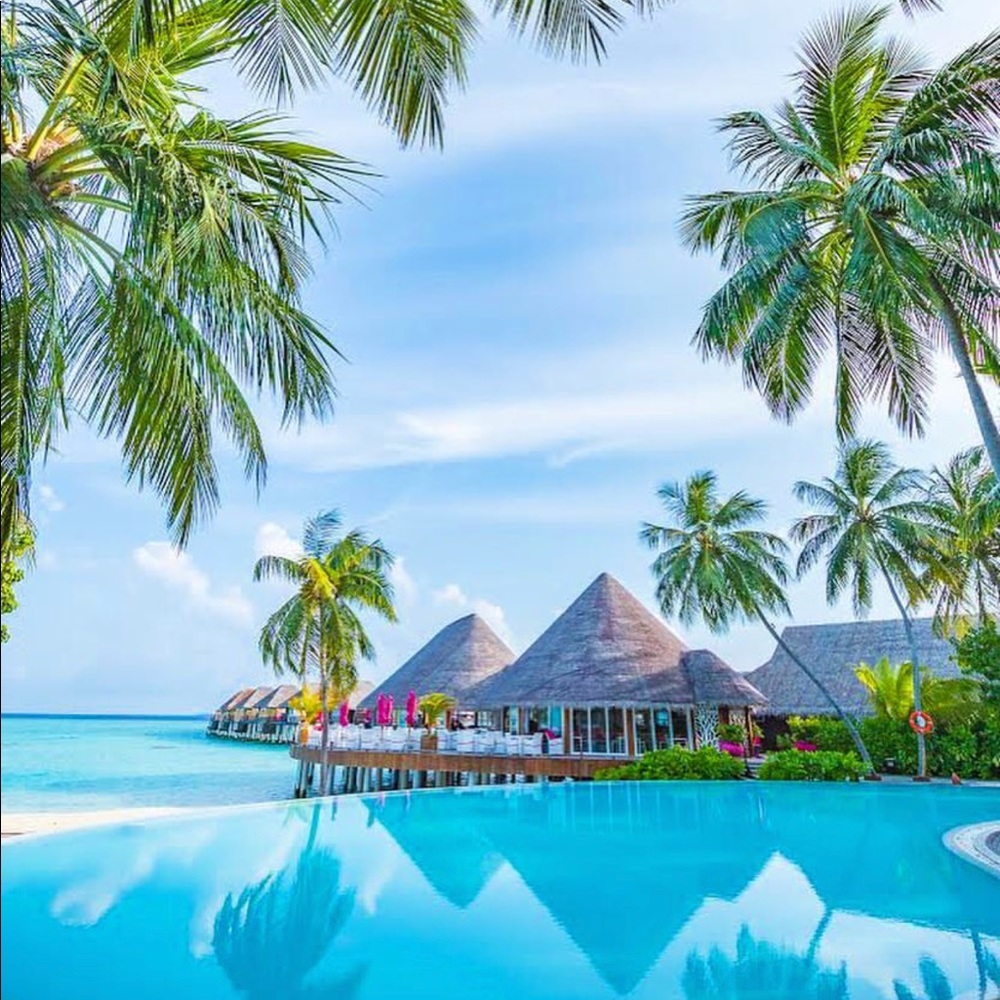 Meet your Posher, Juliana